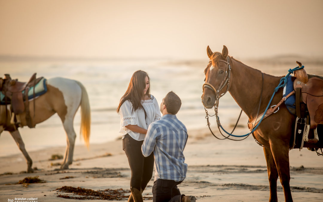 Border Field State Park Engagement Proposal