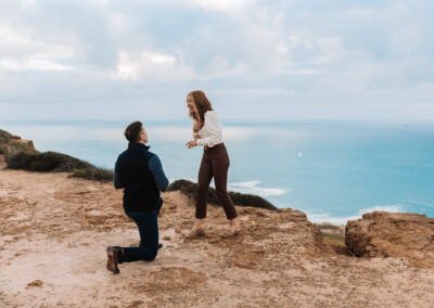 surprise san diego engagement proposal