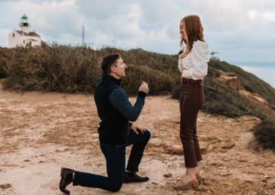 surprise san diego engagement proposal