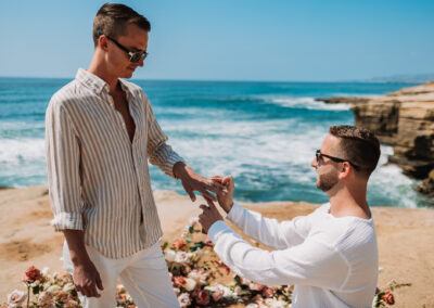 Same Sex Surprise Engagement Proposal San Diego Photographer